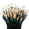 100 Clear Twinkle Lights on Green Wire, Indoor/Outdoor Use, Lighted Length of 20.6’, Total Length of 21.8’ 100 Clear Twinkle Lights on Green Wire, Indoor/Outdoor Use, Lighted Length of 20.6’, Total Length of 21.8’