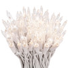 100 Clear Twinkle Lights on White Wire, Indoor/Outdoor Use, Lighted Length of 20.6’, Total Length of 21.8’ 100 Clear Twinkle Lights on White Wire, Indoor/Outdoor Use, Lighted Length of 20.6’, Total Length of 21.8’