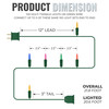 100 Multi Twinkle Lights on Green Wire, Indoor/Outdoor Use, Lighted Length of 20.6’, Total Length of 21.8’ (VT-00333) 100 Multi Twinkle Lights on Green Wire, Indoor/Outdoor Use, Lighted Length of 20.6’, Total Length of 21.8’ (VT-00333)