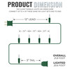 100 Clear Twinkle Lights on Green Wire, Indoor/Outdoor Use, Lighted Length of 20.6’, Total Length of 21.8’ 100 Clear Twinkle Lights on Green Wire, Indoor/Outdoor Use, Lighted Length of 20.6’, Total Length of 21.8’