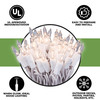 100 Clear Christmas Lights on a White Wire String, UL Approved for Indoor/Outdoor use, 18' of Lighted Length, 20' of Total Length 100 Clear Christmas Lights on a White Wire String, UL Approved for Indoor/Outdoor use, 18' of Lighted Length, 20' of Total Length